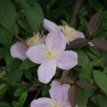 dsc04736