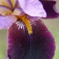 dsc04750