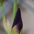 dsc04751