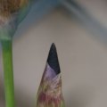 dsc04752