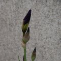 dsc04756