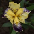 dsc04764