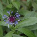 dsc04768