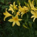 dsc04770