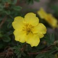 dsc04790