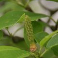 dsc04791