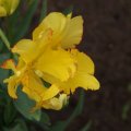 dsc04793