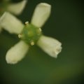 dsc04828