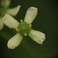 dsc04830