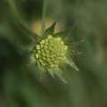 dsc04904