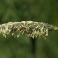 dsc04908