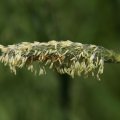 dsc04909