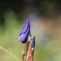 dsc04955