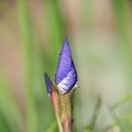 dsc04956