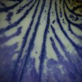 dsc04960