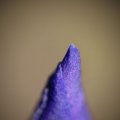 dsc04963