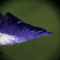 dsc04964