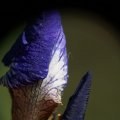 dsc04965