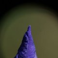 dsc04967