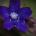 dsc04970