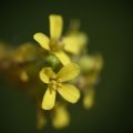 dsc05001