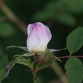 dsc05039