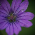 dsc05056