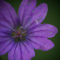 dsc05057