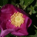 dsc05059