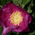 dsc05060