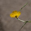 dsc05069