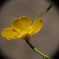 dsc05070
