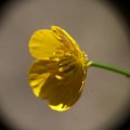 dsc05071