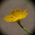 dsc05073