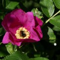 dsc05078