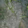 dsc05110