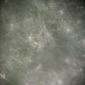 dsc05119
