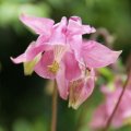 dsc05259