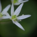 dsc05324