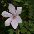 dsc05382