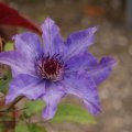 dsc05398