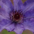 dsc05399