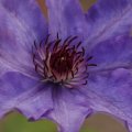 dsc05400