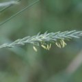 dsc05445