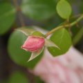 dsc05568