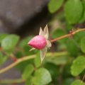 dsc05572