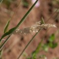 dsc05608