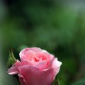 dsc05622