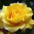 dsc05623