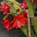 dsc05626